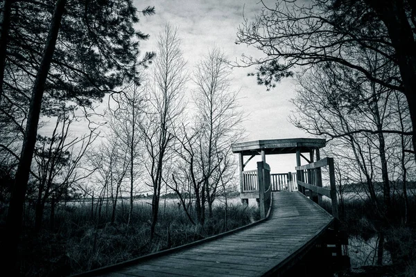 Ponte Madeira Velha Parque — Fotografia de Stock