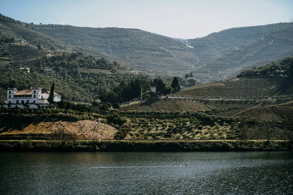 Kırsal Alan Manzarası — Stok fotoğraf