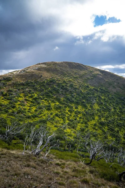 Vackert Landskap Med Ett Berg Bakgrunden — Stockfoto