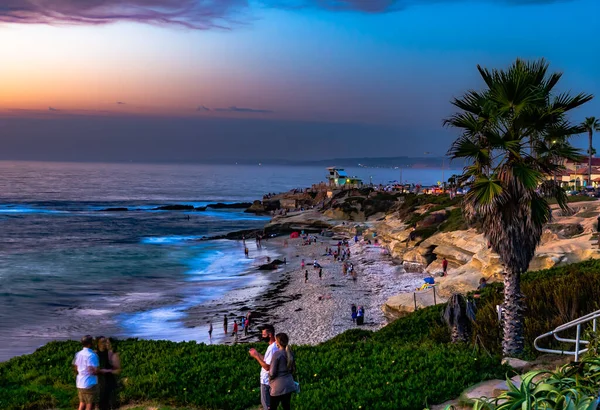 Mooi Strand Met Palmbomen Bij Zonsondergang — Stockfoto