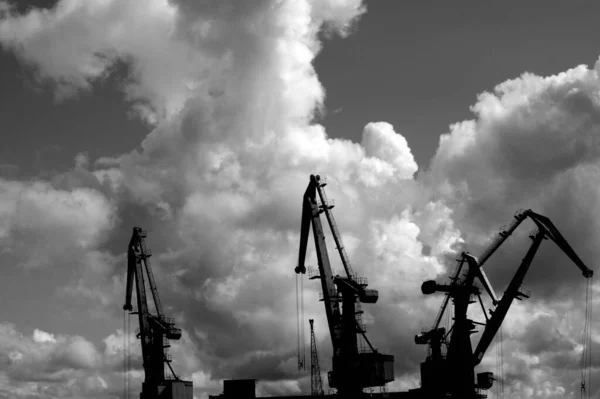 Zwart Wit Foto Van Een Grote Industriële Kranen — Stockfoto