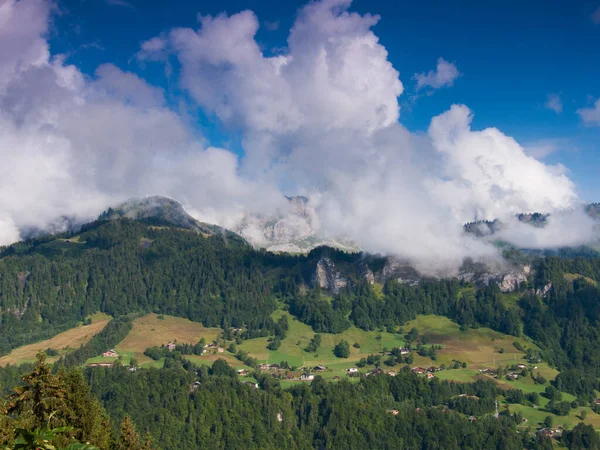 Bela Paisagem Das Montanhas Dos Cárpatos — Fotografia de Stock