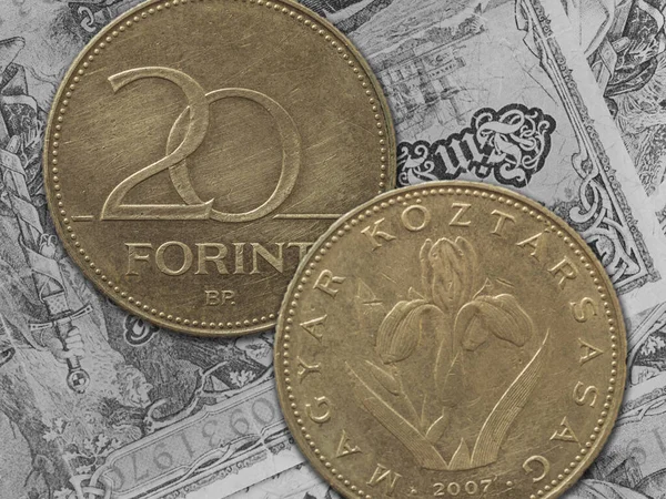 Форинтовых Монет Выделенных Денежном Фоне — стоковое фото