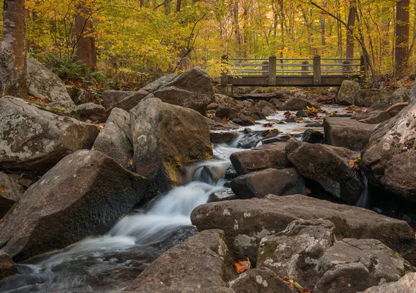 Vackert Vattenfall Skogen — Stockfoto