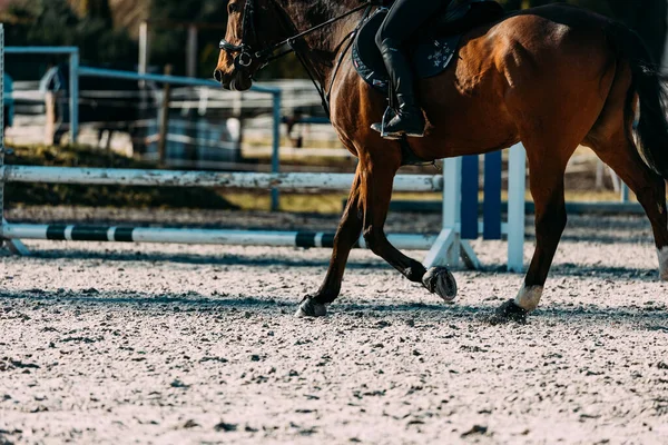 Jinete Caballos Una Granja — Foto de Stock