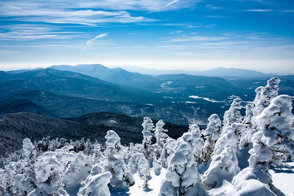 Winter Landscape Snow Covered Trees Royalty Free Stock Photos