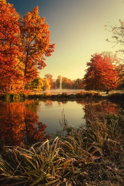 Jesienny Krajobraz Drzewami Refleksjami — Zdjęcie stockowe