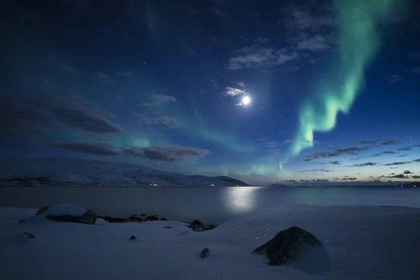 Beautiful Night Sky Sea — Stock Photo, Image