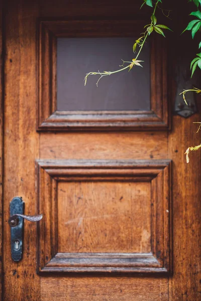 Vieille Porte Bois Avec Une Poignée — Photo