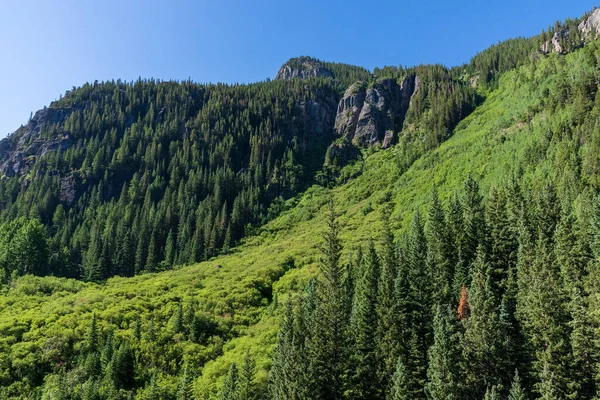 Гірський Пейзаж Горами Лісом — стокове фото