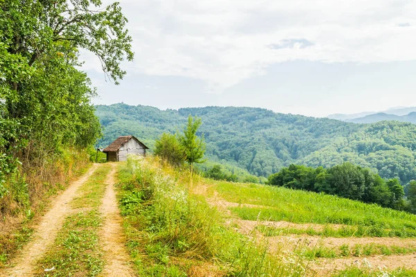 Paesaggio Rurale Con Alberi Verdi Cielo Blu — Foto Stock