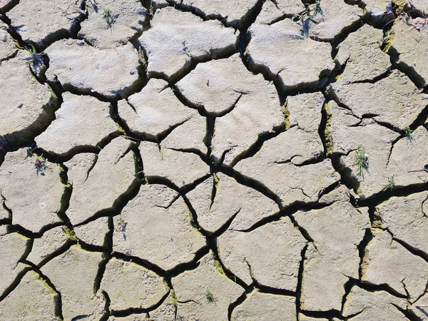 Tierra Agrietada Seco Sequía Tierra Calentamiento Global Seco Muerto — Foto de Stock