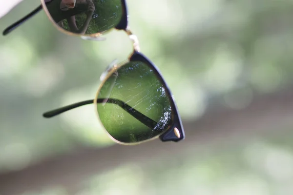 Makroaufnahme Eines Insekts — Stockfoto