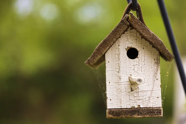 Vogelhuisje Aan Een Boom Tuin — Stockfoto