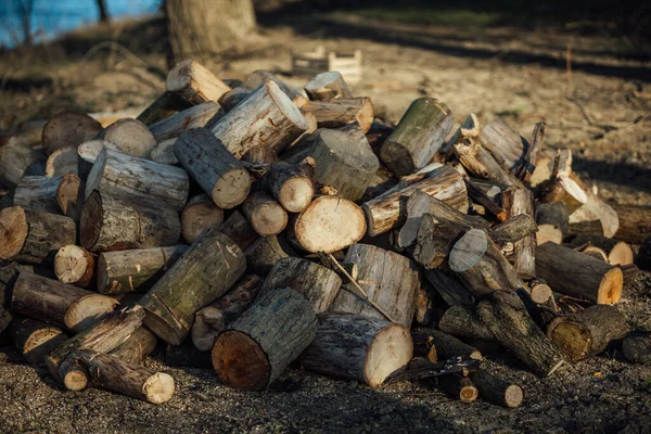 Brandhout Gestapeld Het Bos — Stockfoto