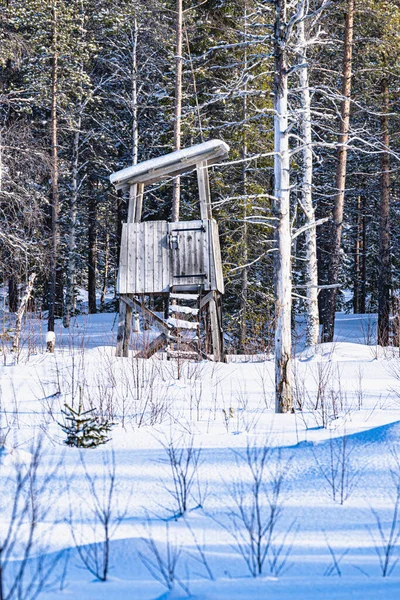 Wooden House Forest — Stock Photo, Image