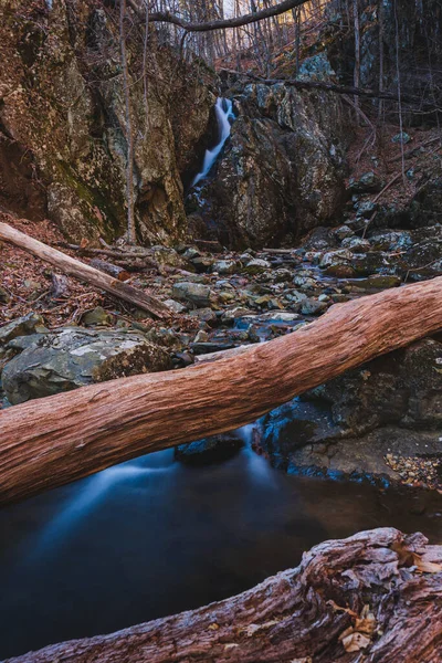 Krásný Vodopád Lese — Stock fotografie