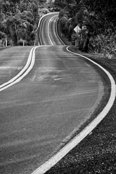 Asphalt Road Park — Stock Photo, Image