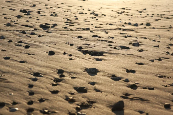 Piaszczysta Plaża Falami Morskimi — Zdjęcie stockowe
