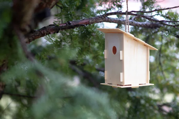 Birdhouse Giardino — Foto Stock