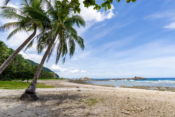 Palmiye Ağaçları Mavi Gökyüzü Olan Güzel Tropikal Plaj — Stok fotoğraf