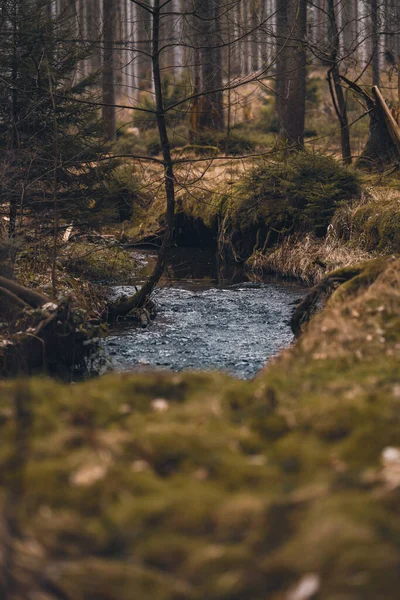 Krásná Krajina Řekou Lese — Stock fotografie