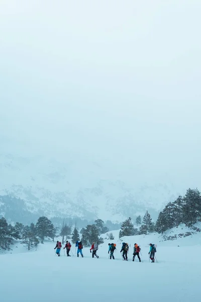 Dağlı Karlı Bir Dağ Manzarası — Stok fotoğraf