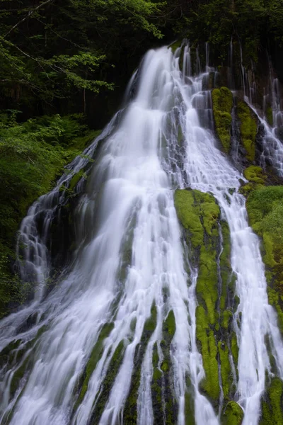 Cascada Pădure — Fotografie, imagine de stoc