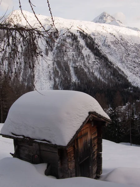 Vackert Vinterlandskap Med Snötäckta Träd — Stockfoto