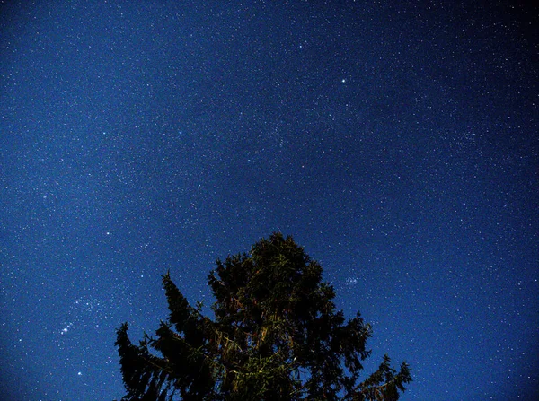 Cielo Notturno Con Stelle Lattea — Foto Stock