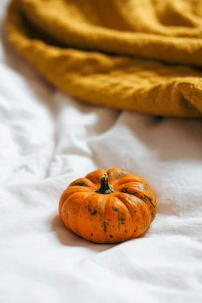 Halloween Pumpkin White Bed Cloth — Stock Photo, Image