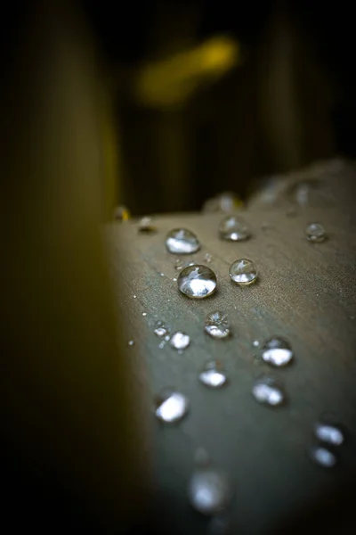 Hujan Tetes Atas Kaca — Stok Foto