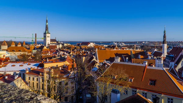 Città Vecchia Tallinn Estonia — Foto Stock