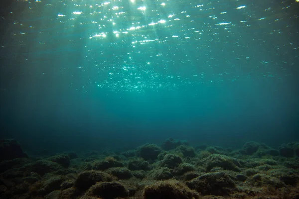 Vista Subacquea Della Barriera Corallina Nel Mare Rosso — Foto Stock