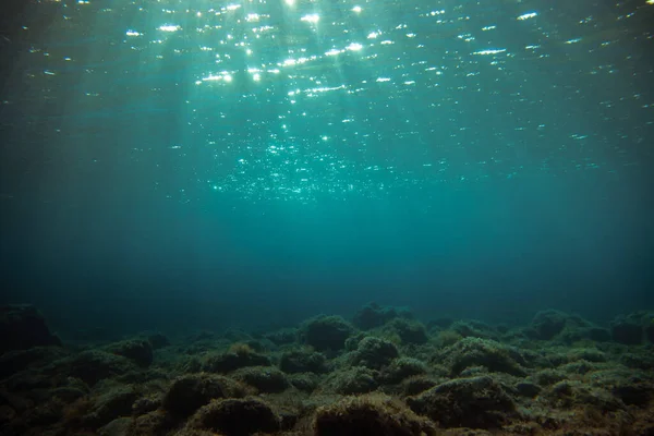 Vue Sous Marine Récif Corallien Dans Mer Rouge — Photo