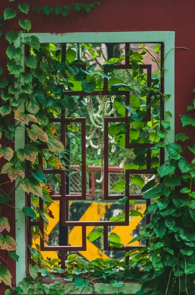 Старі Дерев Яні Двері Зеленим Червоним Листям — стокове фото