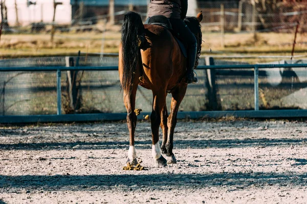 Vacker Utsikt Över Utomhus Scen — Stockfoto