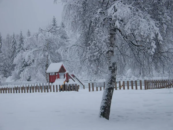 Paisagem Inverno Com Árvores Cobertas Neve — Fotografia de Stock