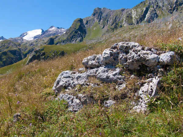 Гірський Пейзаж Зеленою Травою Блакитним Небом — стокове фото