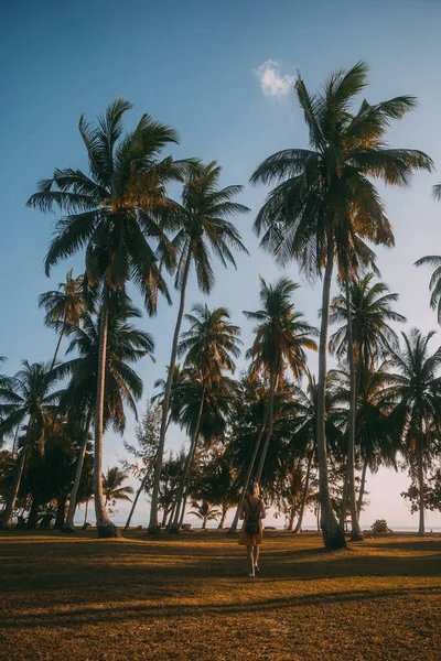 Palme Nella Sabbia Sulla Spiaggia — Foto Stock