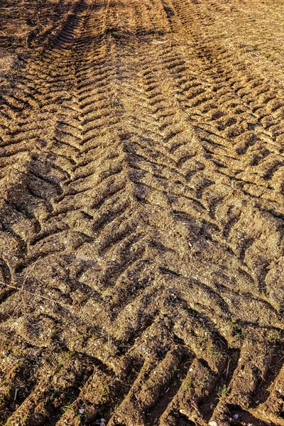 Texturen Marken Jorden — Stockfoto