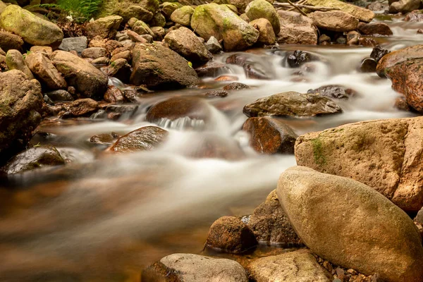 Hermosa Cascada Bosque — Foto de Stock