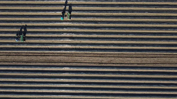 Vista Aérea Del Techo Ciudad —  Fotos de Stock