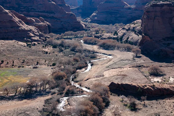 Grand Canyon Ulusal Parkı Utah Abd — Stok fotoğraf