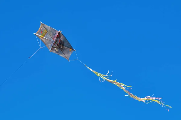 Papagaio Voando Céu — Fotografia de Stock