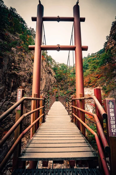 Pont Bois Dans Parc — Photo