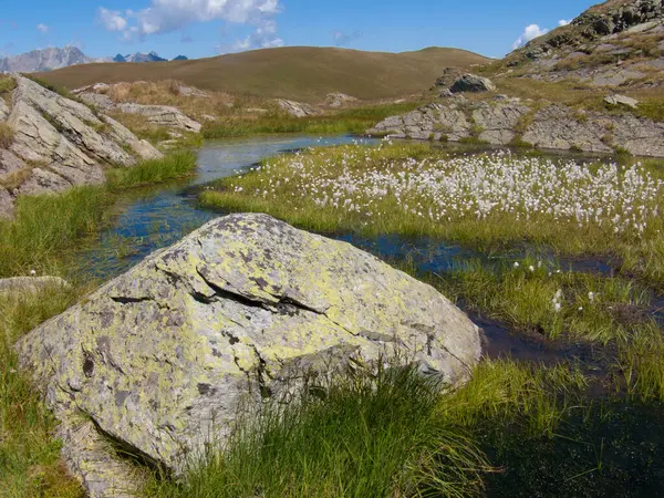 Hermoso Paisaje Con Río Lago Fondo — Foto de Stock