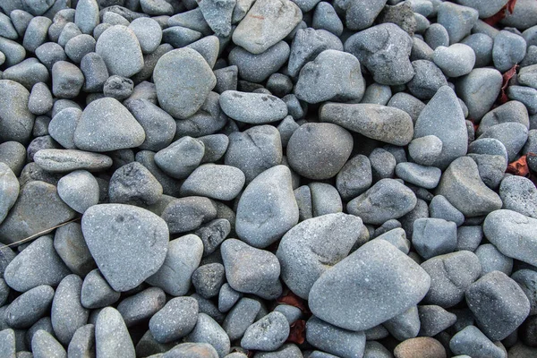 Kamienie Morskie Tekstura Tło — Zdjęcie stockowe