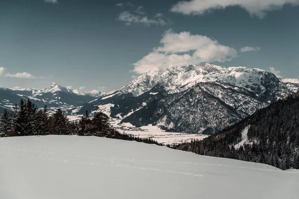 Piękny Krajobraz Pokrytymi Śniegiem Drzewami Górach — Zdjęcie stockowe