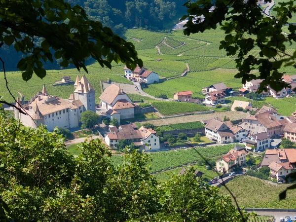 Vista Das Vinhas Nos Alpes Suíços — Fotografia de Stock